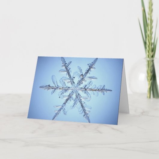 Prettig Kerstfeest Feestdagen Kaart (Voorkant)