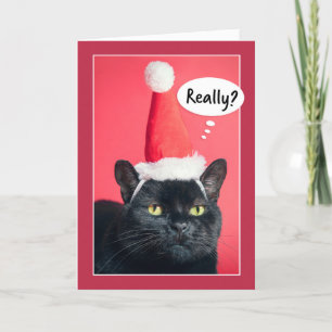 Prettig kerstfeest Geërgerde Kat in Kerstman Hoed  Feestdagen Kaart