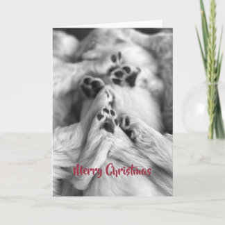 Prettig kerstfeest Goud Retriever Puppy Pootjes Ka Bedankkaart