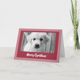 Prettig kerstfeest, gouden retriever-puppy kerstka bedankkaart
