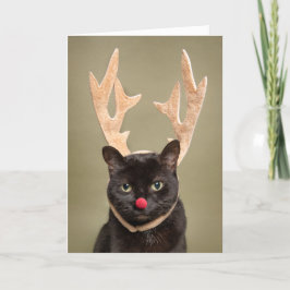 Prettig kerstfeest Grappige kat met rendiergewei Feestdagen Kaart