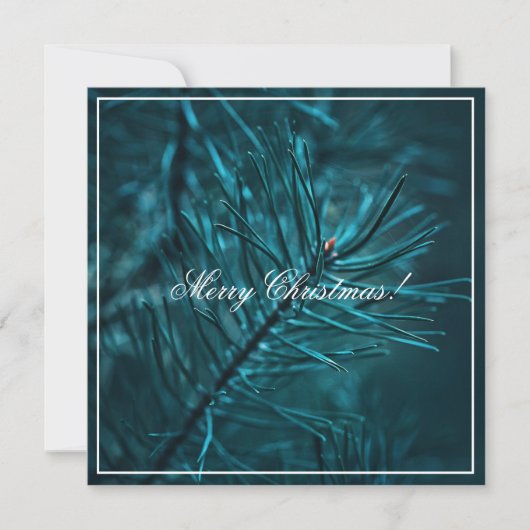 Prettig kerstfeest groene dennenboom kerstkaart (Voorkant)