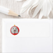 Prettig Kerstfeest Havanese Etiket (Insitu)