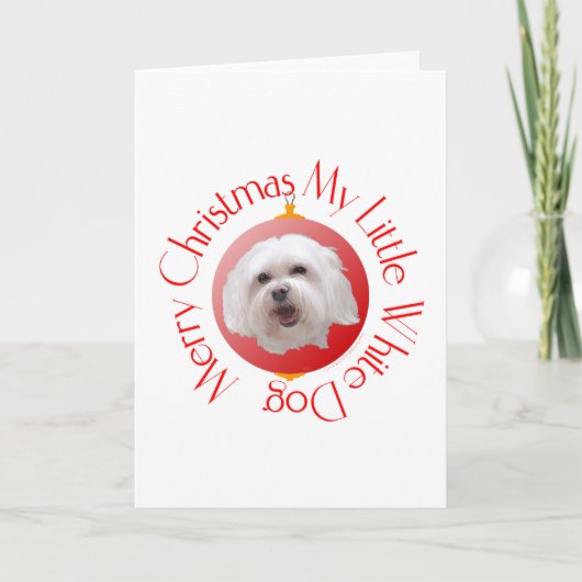 Prettig kerstfeest Havanese Feestdagen Kaart (Voorkant)