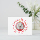 Prettig kerstfeest Havanese Feestdagenkaart (Staand voorkant)