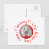 Prettig kerstfeest Havanese Feestdagenkaart (Voorkant / Achterkant)