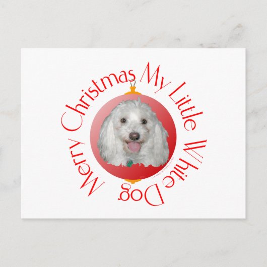 Prettig kerstfeest Havanese Feestdagenkaart (Voorkant)