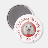 Prettig kerstfeest Havanese Magneet (Voorkant / Achterkant)