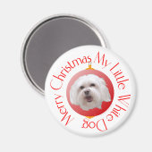 Prettig kerstfeest Havanese Magneet (Voorkant / Achterkant)