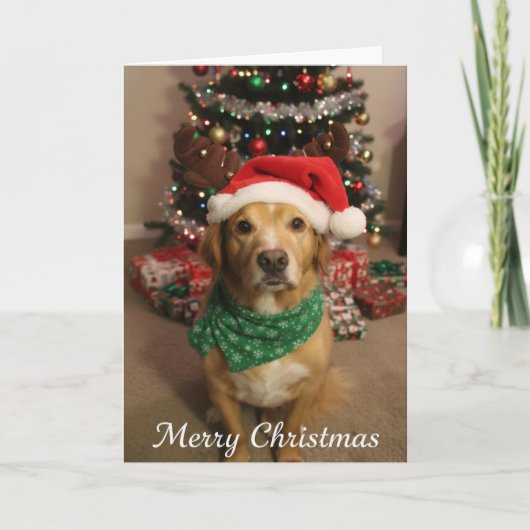 Prettig kerstfeest hond kaart (Voorkant)