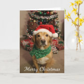 Prettig kerstfeest hond kaart (Gele Bloem)