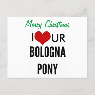 Prettig KERSTFEEST IK HOU VAN JE BOLOGNESE PAARDJE Feestdagenkaart