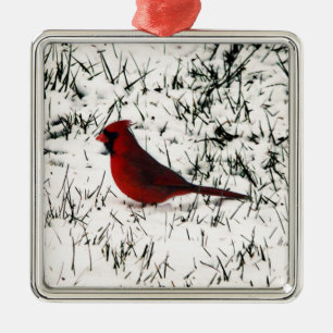 Prettig kerstfeest Kardinaal Metalen Ornament
