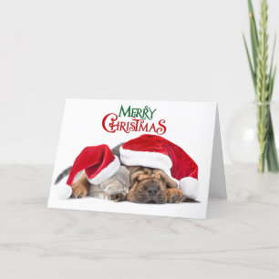 Prettig kerstfeest kat en hond feestdagen kaart