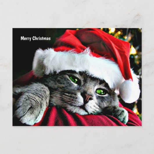 Prettig kerstfeest Kat Feestdagenkaart (Voorkant)