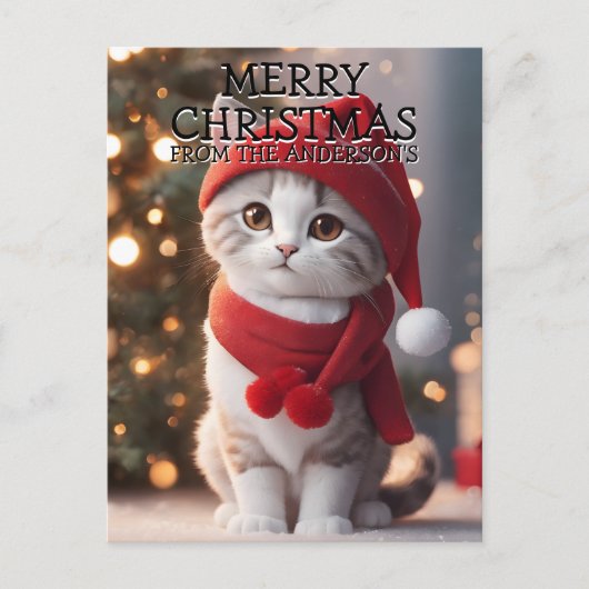 Prettig kerstfeest kat gepersonaliseerd feestdagenkaart (Voorkant)