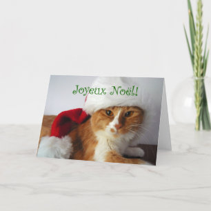 Prettig Kerstfeest - Kat met Kerstmannenhoed Feestdagen Kaart