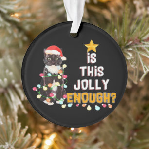Prettig kerstfeest katten ornament