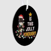 Prettig kerstfeest katten ornament (voorkant)