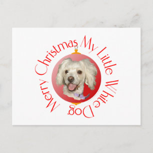 Prettig kerstfeest kleine witte hond Poodle / Bich Feestdagenkaart