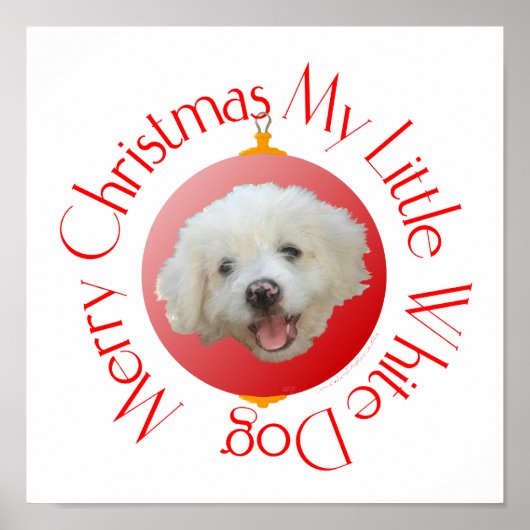 Prettig kerstfeest kleine witte hond poster (Voorkant)