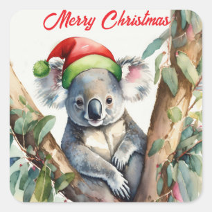 Prettig kerstfeest koala zittend in eucalyptusboom vierkante sticker