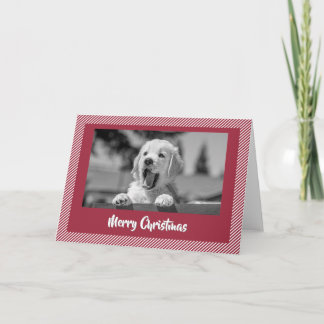Prettig kerstfeest lachende gouden retriever kaart