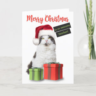 Prettig kerstfeest leraar Schattige kat met cadeau Feestdagen Kaart