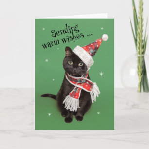 Prettig kerstfeest Leuke kat met hoed en sjaal Feestdagen Kaart