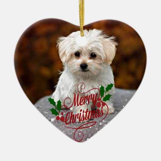 Prettig kerstfeest, Maltezer puppy, schattig en kn Keramisch Ornament (Voorkant)