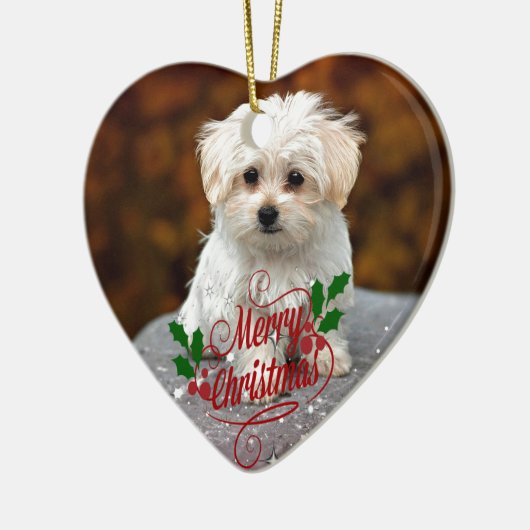 Prettig kerstfeest, Maltezer puppy, schattig en kn Keramisch Ornament (Links)