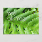 Prettig Kerstfeest Mele Kalikimaka Kerstkaart Feestdagenkaart (Voorkant)