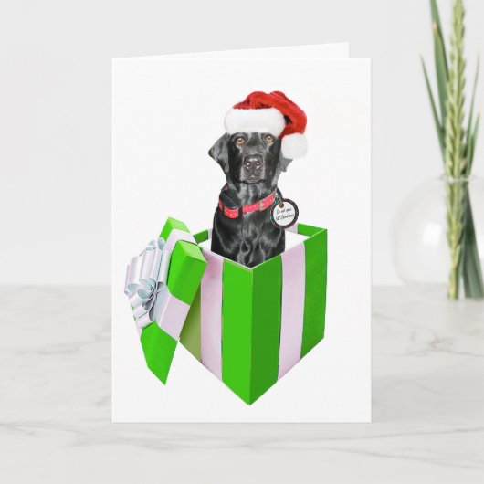 Prettig kerstfeest met hond feestdagen kaart (Voorkant)