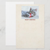 Prettig Kerstfeest, Mooie Grijze Lapjeskat Briefpapier (Voorkant / Achterkant)