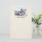 Prettig Kerstfeest, Mooie Grijze Lapjeskat Briefpapier (Staand voorkant)