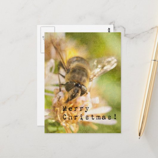 Prettig kerstfeest Mot op Bloem Briefkaart (Voorkant / Achterkant in situ)