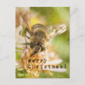 Prettig kerstfeest Mot op Bloem Briefkaart (Voorkant)