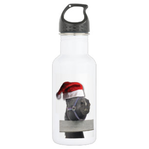 Prettig kerstfeest Paard Waterfles