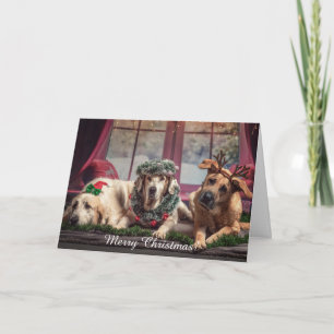 Prettig kerstfeest Persoonlijke huisdier foto name Feestdagen Kaart