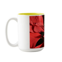 Prettig kerstfeest Rode Krul Poinsettia