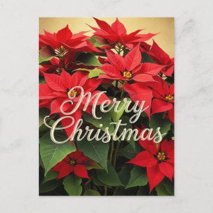 Prettig kerstfeest rode poinsettia's briefkaart
