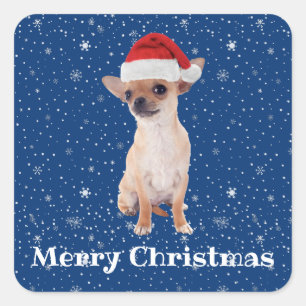 Prettig kerstfeest Schattige Chihuahua Kerstman 2 Vierkante Sticker