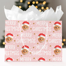 Prettig kerstfeest Sinterklaas Eén Foto Lief Gezic