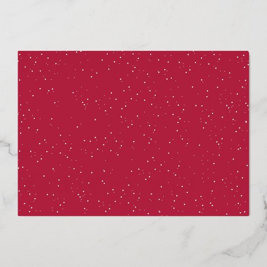 Prettig kerstfeest sneeuwfoto folie kerstkaart folie feestdagenkaart (Achterkant)