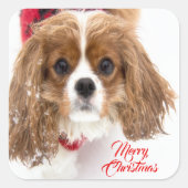 Prettig kerstfeest Sneeuwige Cavalier King Charles Vierkante Sticker (Voorkant)