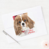 Prettig kerstfeest Sneeuwige Cavalier King Charles Vierkante Sticker (Envelop)