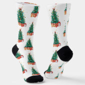 Prettig kerstfeest sokken (Gebogen)