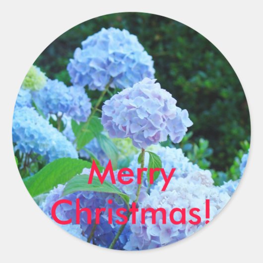 Prettig kerstfeest! stickers Blauwe Lavendel Hydra (Voorkant)