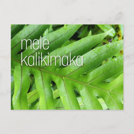 Prettig Kerstfeest Vakantie Vrolijk Kerst Kaart (Voorkant)