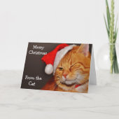 Prettig kerstfeest van de kat feestdagen kaart (Voorkant)